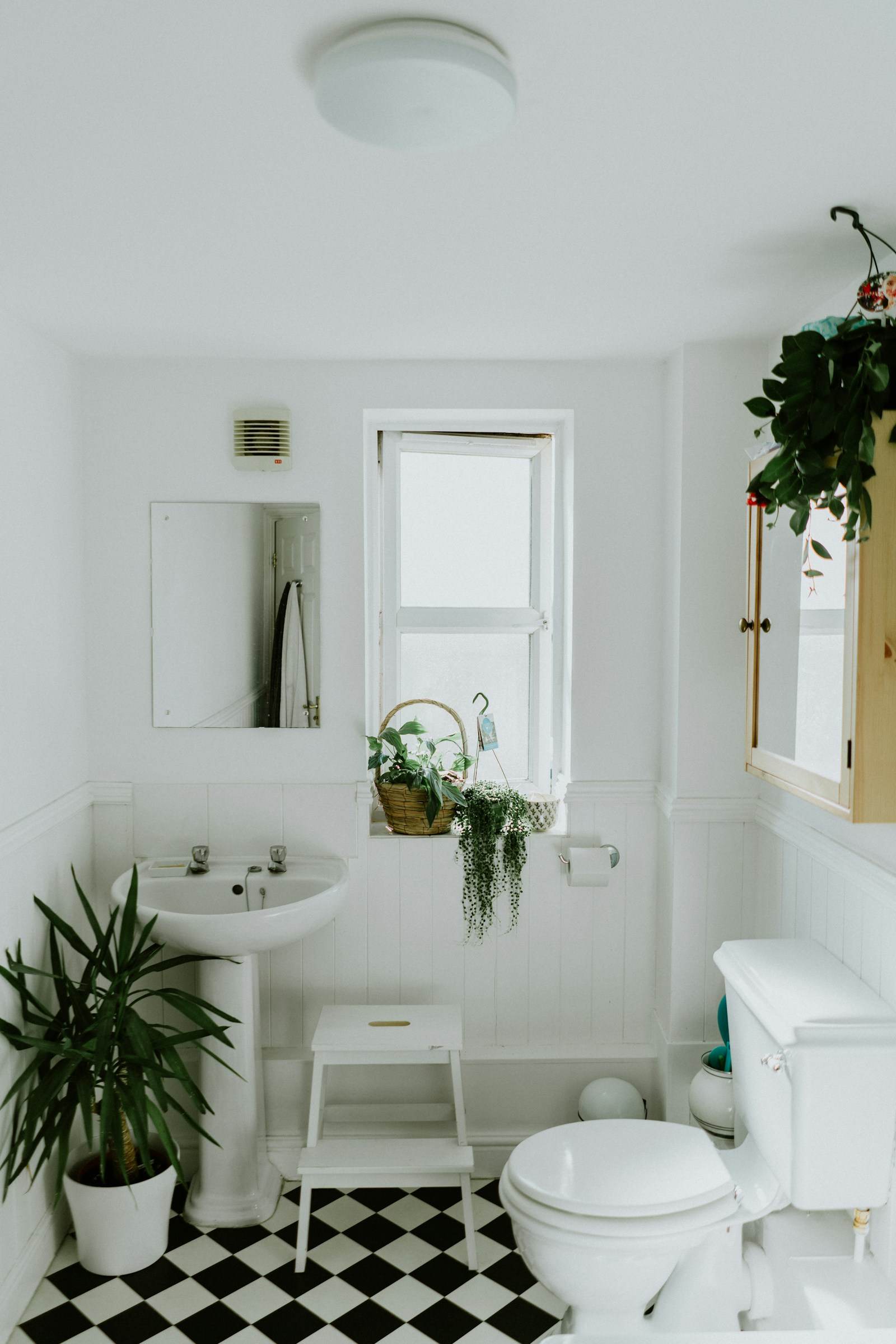 Baño Villarreal — Baños en Villarreal